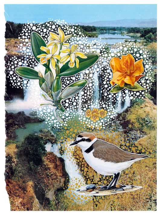 The Source of the Nile Hand Made Paper Collage 