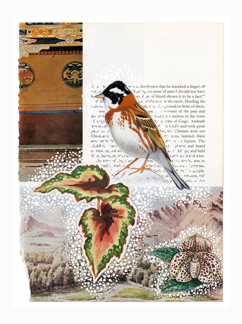 The Tibetans Hand Made Paper Collage 