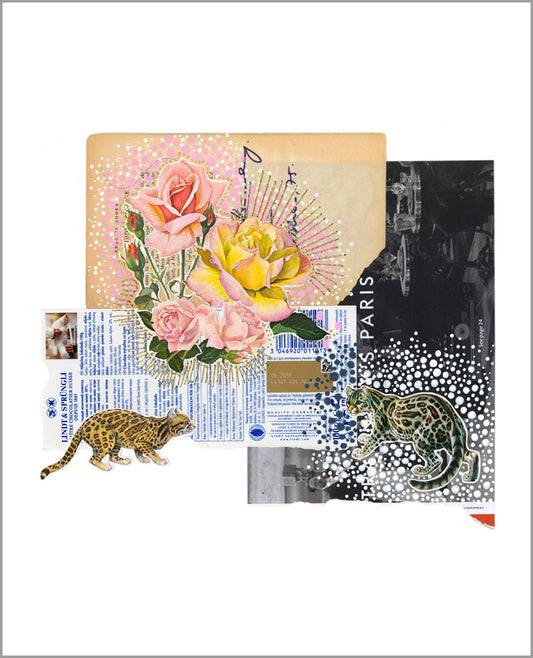Cats & Roses